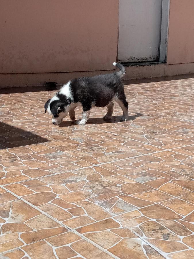 Maktub Only Girls & Breakfast Exclusivo Para Damas Pet Friendly
