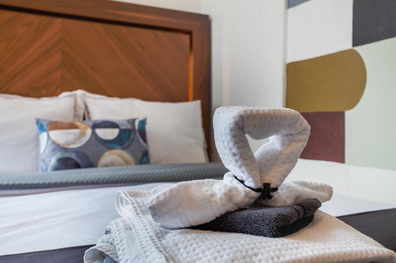 Nomadier Experience Condesa Homestay Mexico City
