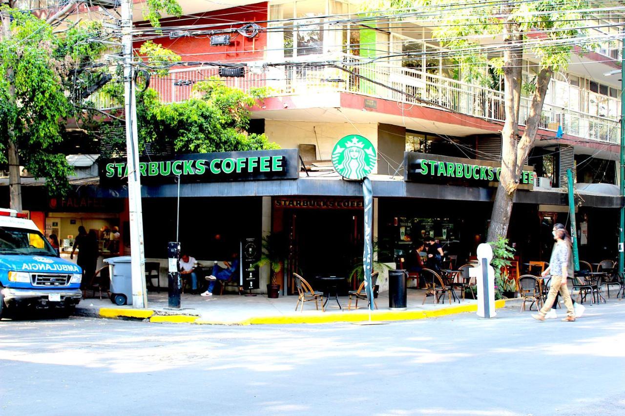 Homestay Nomadier Experience Condesa