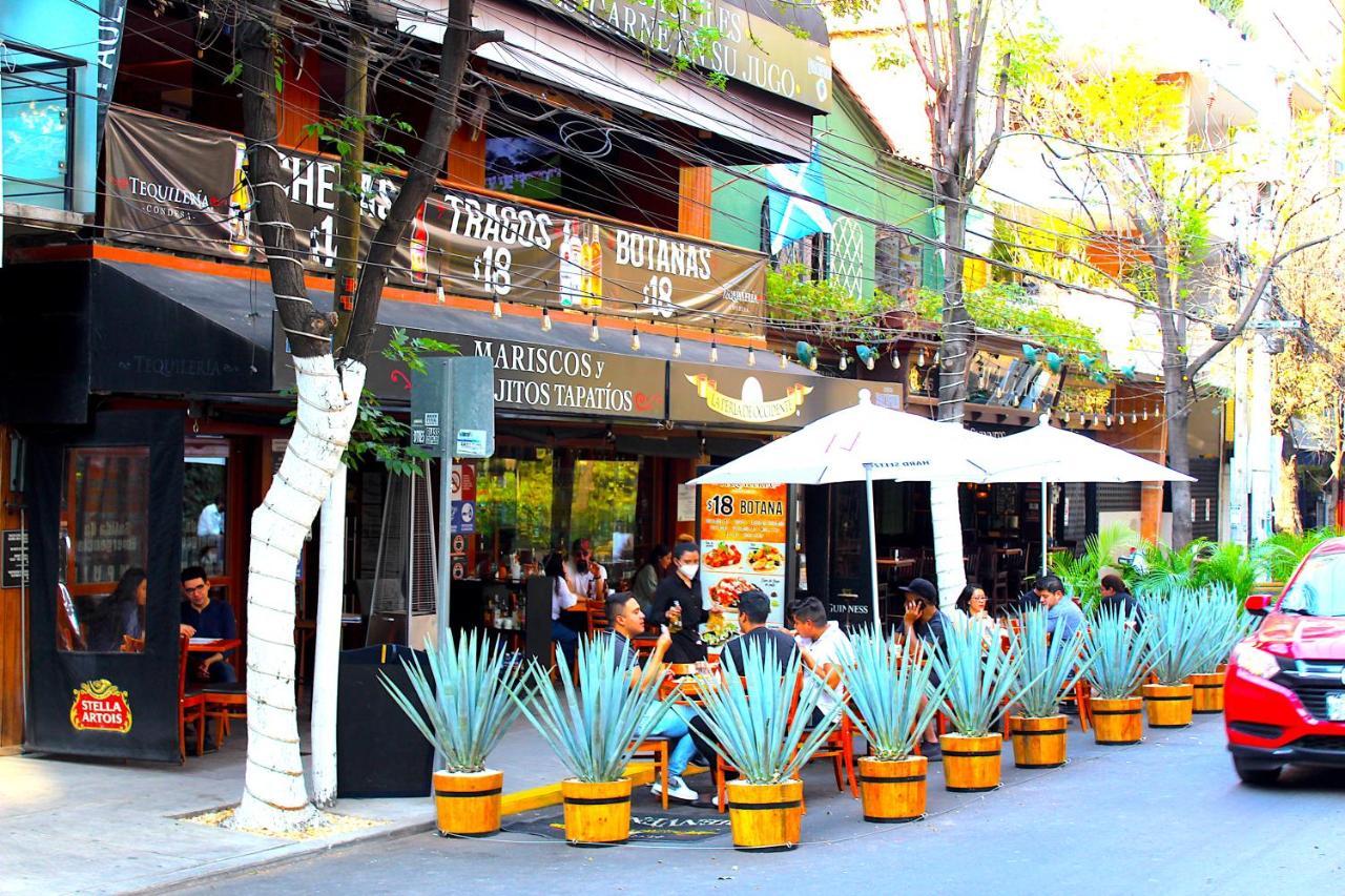 Homestay Nomadier Experience Condesa Mexico City