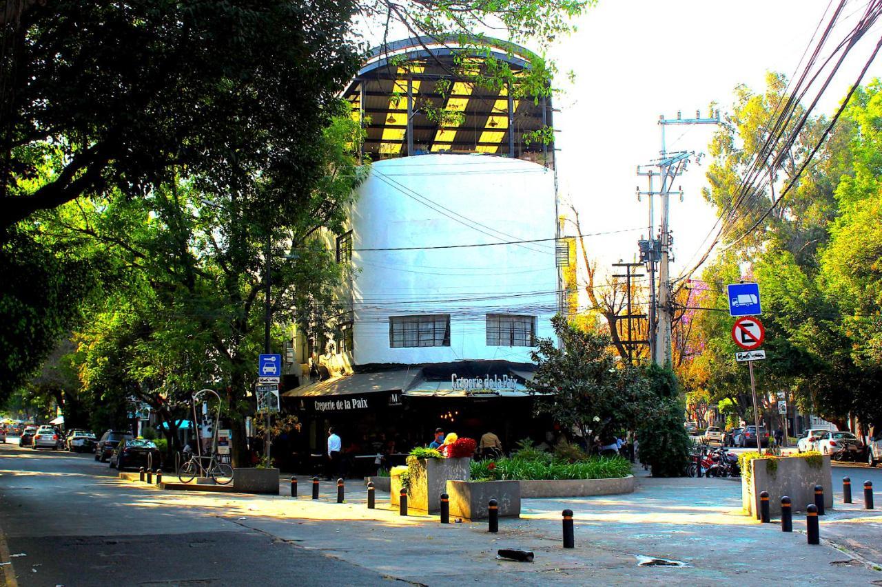 Nomadier Experience Condesa Mexico City