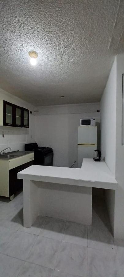 Hostel Ahuehuetes Mexico City