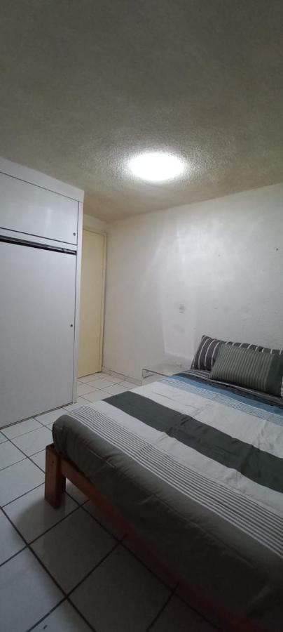 Ahuehuetes Hostel Mexico City