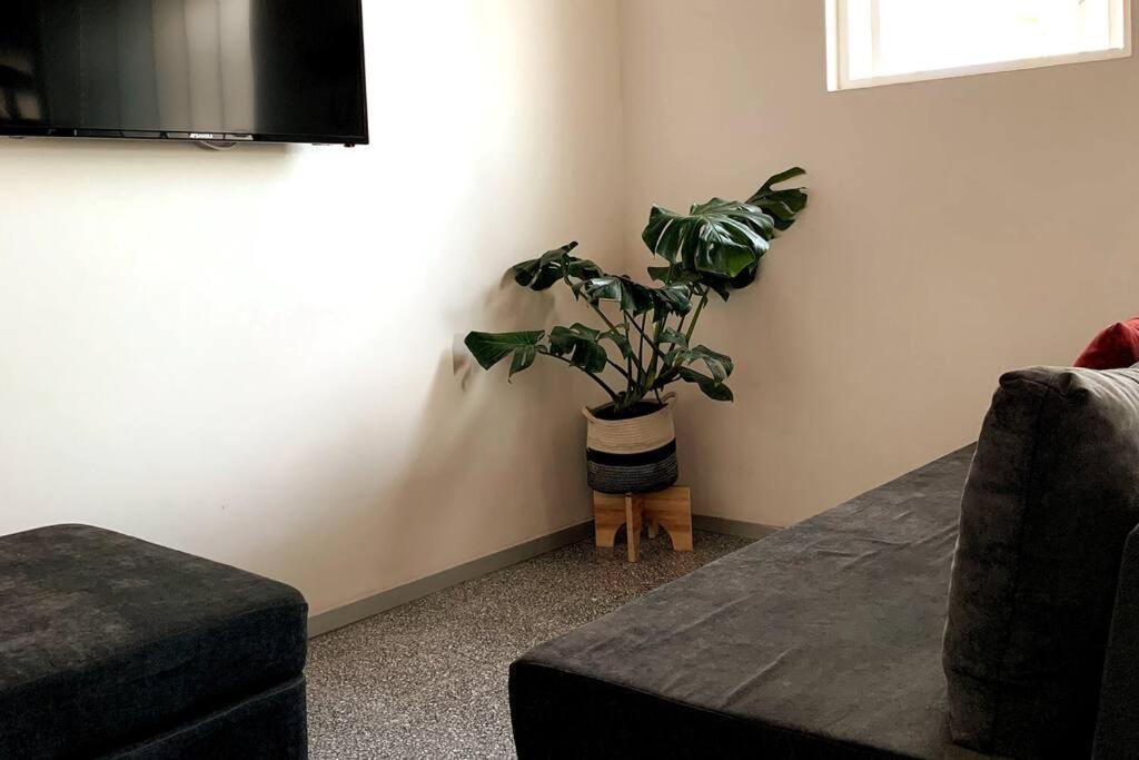 Apartment 125 Donceles Terraza Privada Centro Historico Cdmx