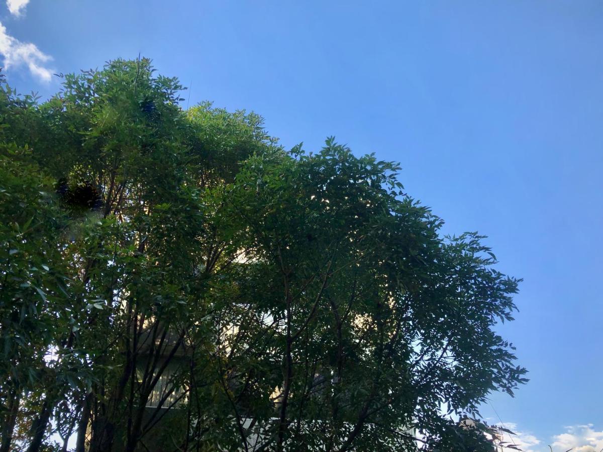 Loft Increible En La Mejor Ubicacion De La Cdmx Apartment
