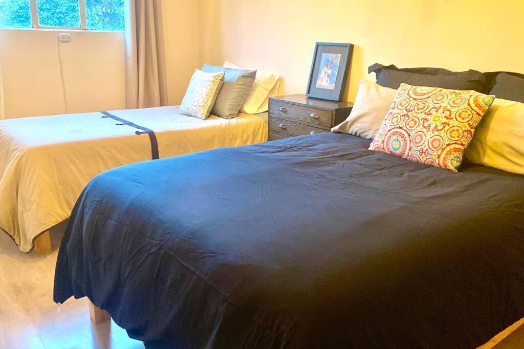 Apartment Amazing Cozy In Condesa *