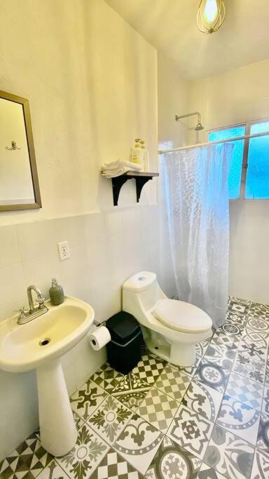 Amazing Cozy In Condesa *