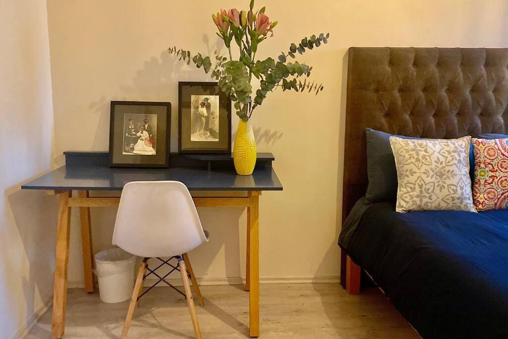 Amazing Cozy In Condesa Apartment Mexico City