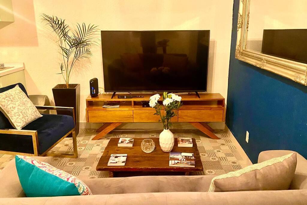 Amazing Cozy In Condesa Apartment