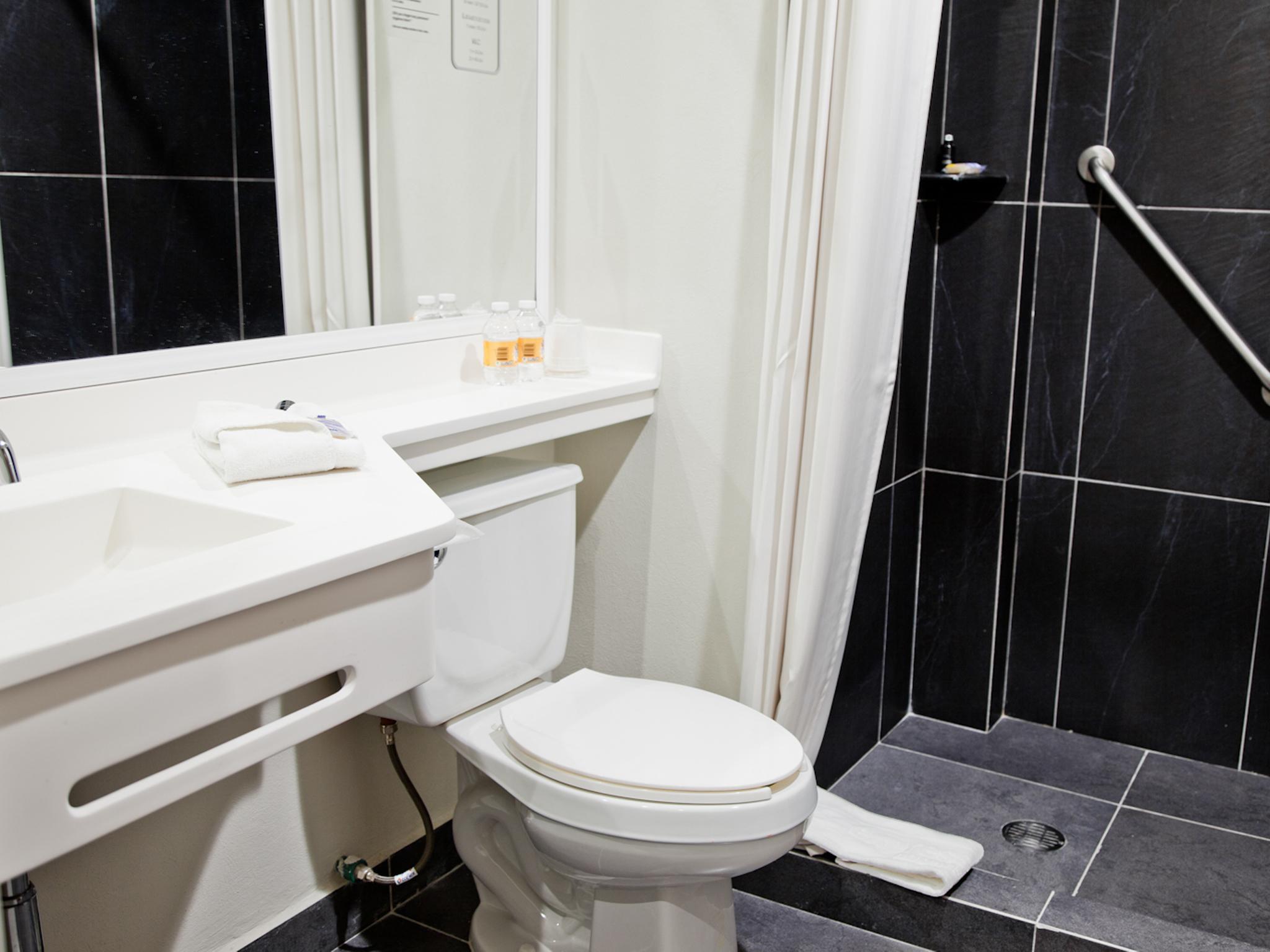 Hotel Express Satelite By Ihg 4*