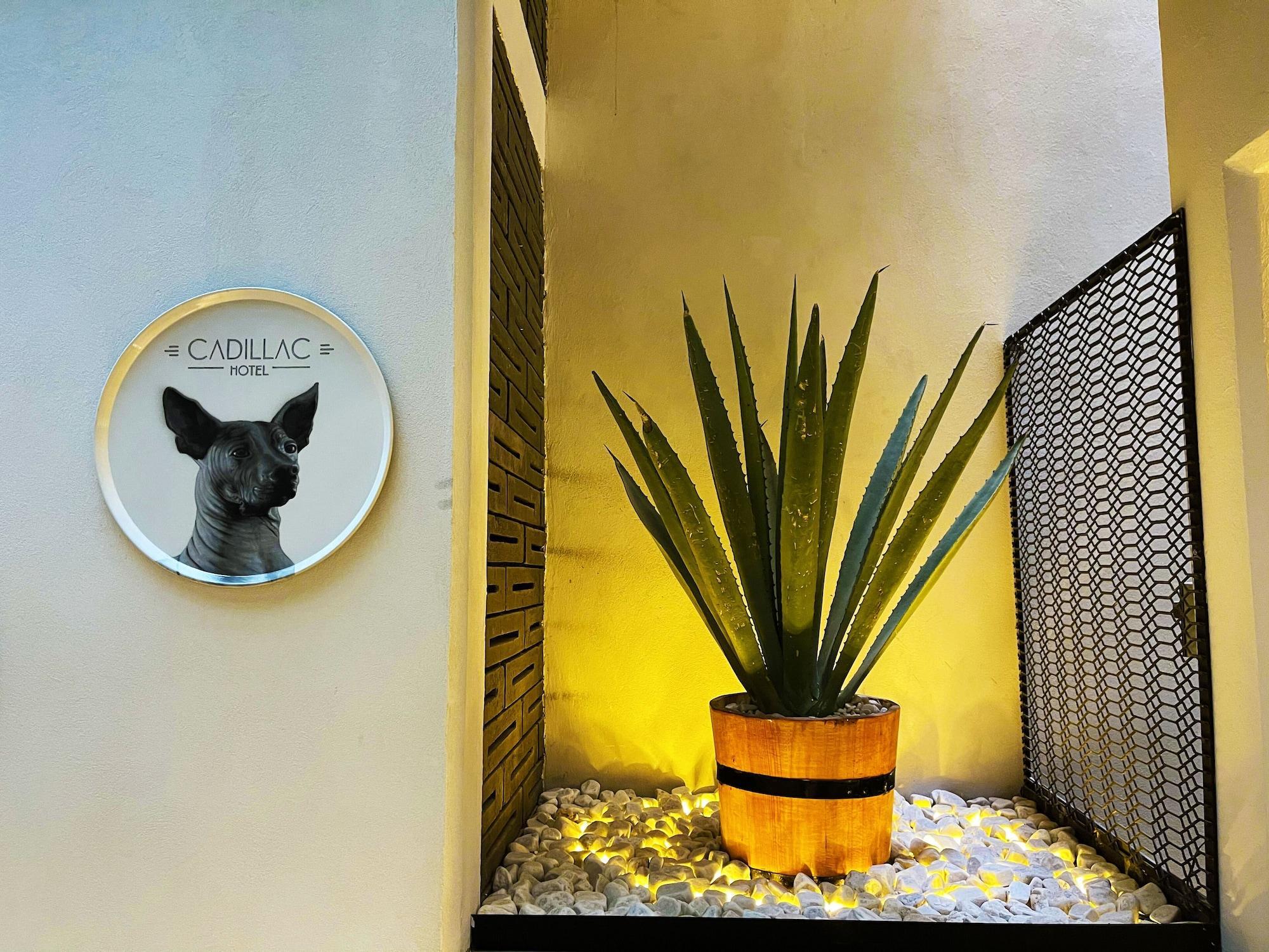 Cadillac Boutique Mexico City