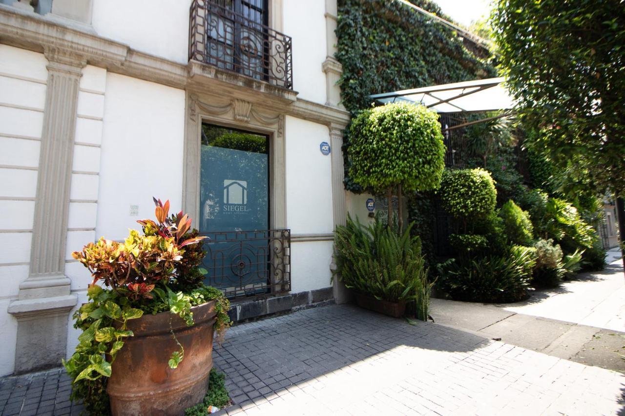 Apartment La Condesa: Beautiful Designed