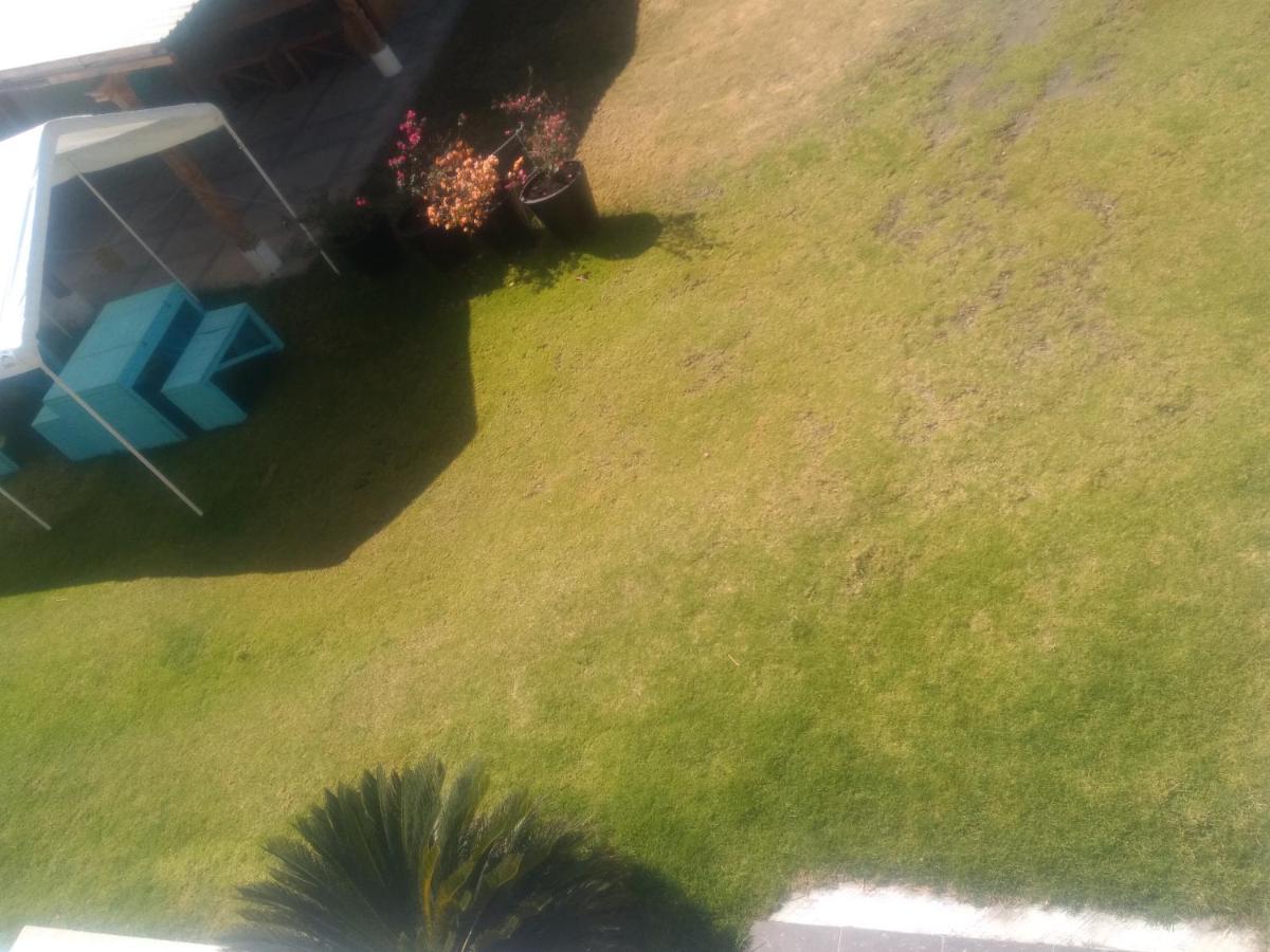 Apartment Xochimilco Hermoso Departamento Loft Junto A Trajineras