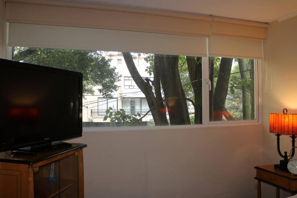 Luxurious & Chic 2 Bedroom Polanquito Lincon Park Apartment *