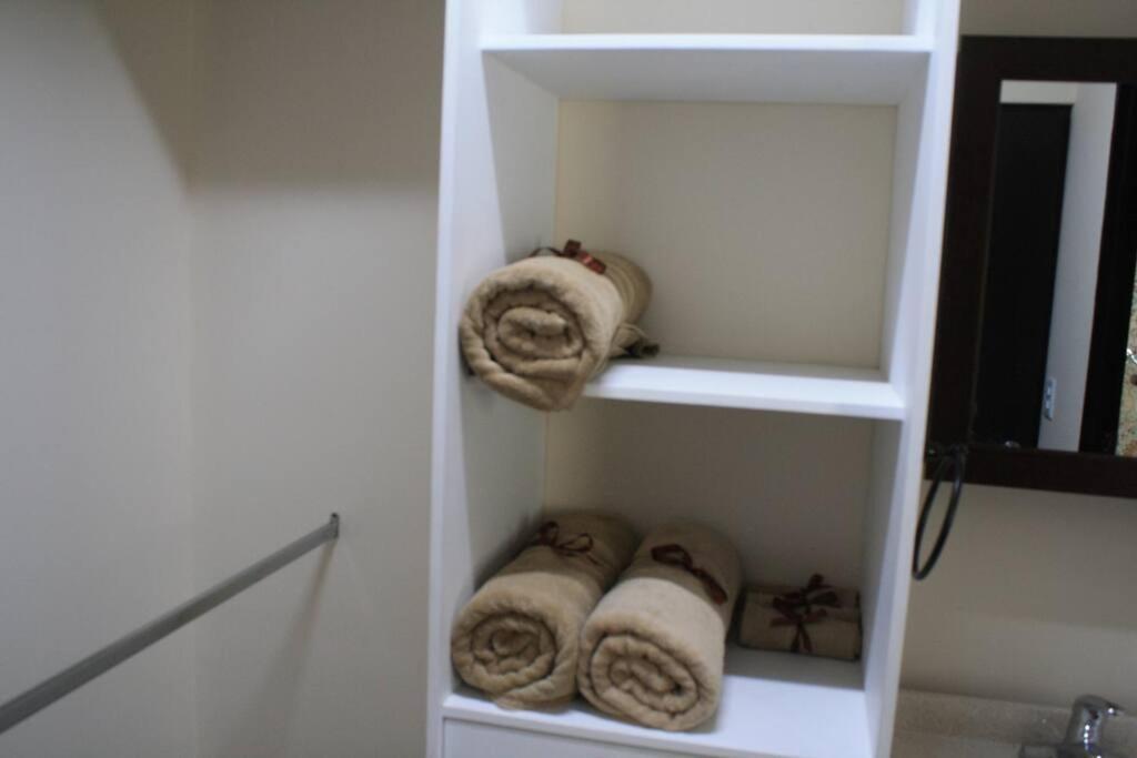 Luxurious & Chic 2 Bedroom Polanquito Lincon Park Apartment