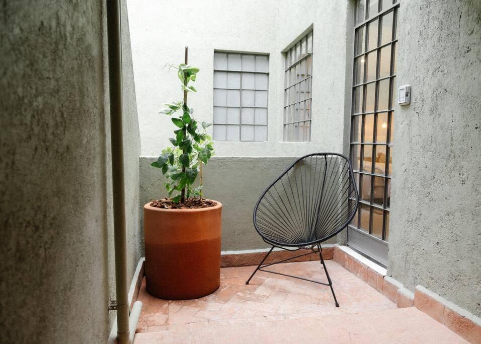 Mr. W Kin Pech 4 - Secret Roma Mexico City