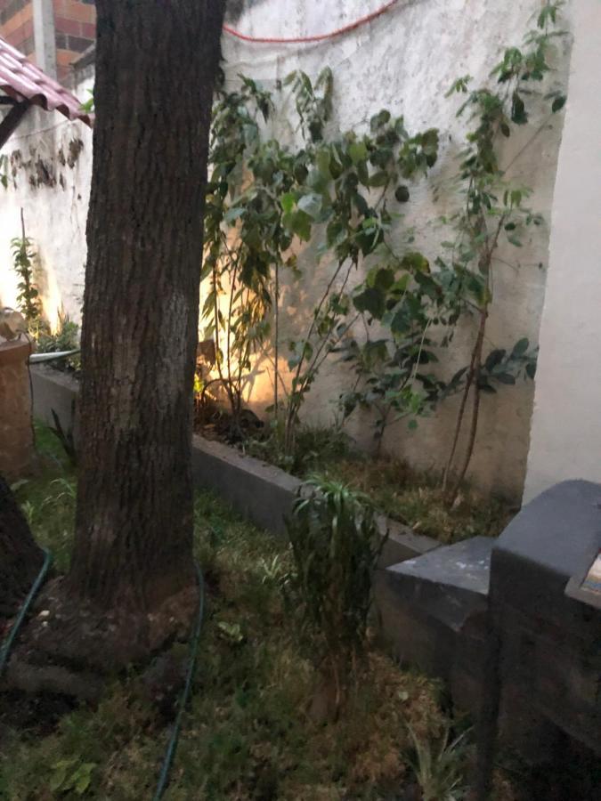 Apartamento Almendra