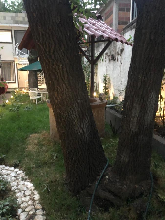 Apartamento Almendra