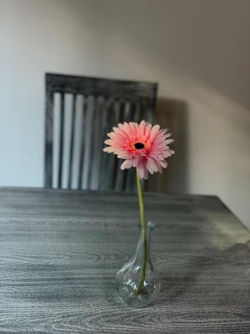 Hermoso Departamento En Coyoacan