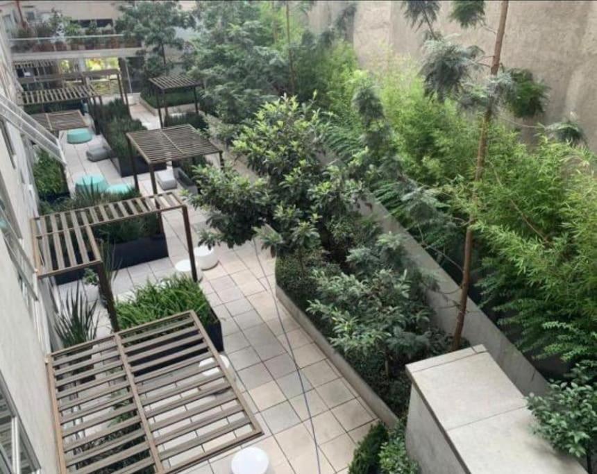 Super Cool & Comfortable In The Heart Of Condesa.