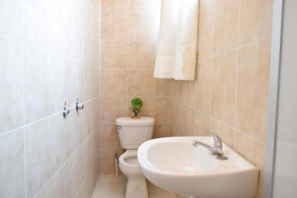 Whost Centro Historico Guest house *