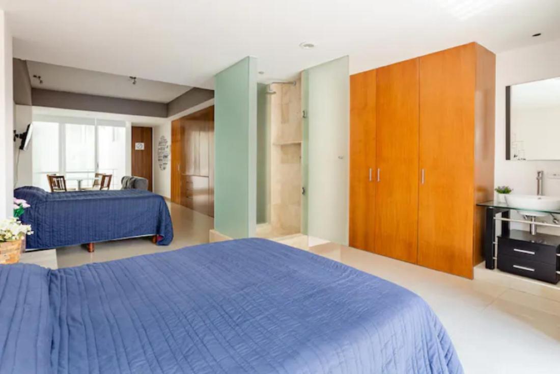 Apartment Polanco Beautiful 1parking-1br-1ba *