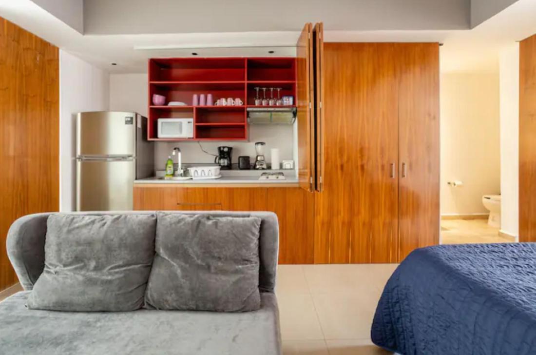 Apartment Polanco Beautiful 1parking-1br-1ba
