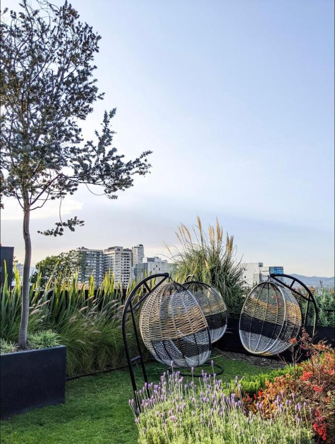Modern Studio, King Bd, Amenities/new Polanco