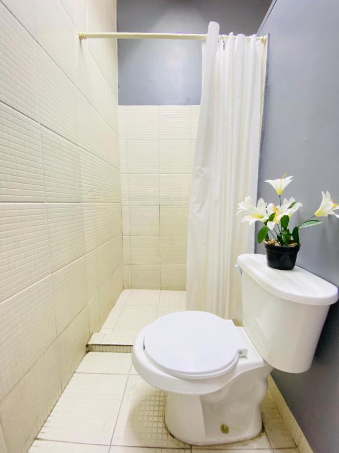 Whost Centro Historico Guest house