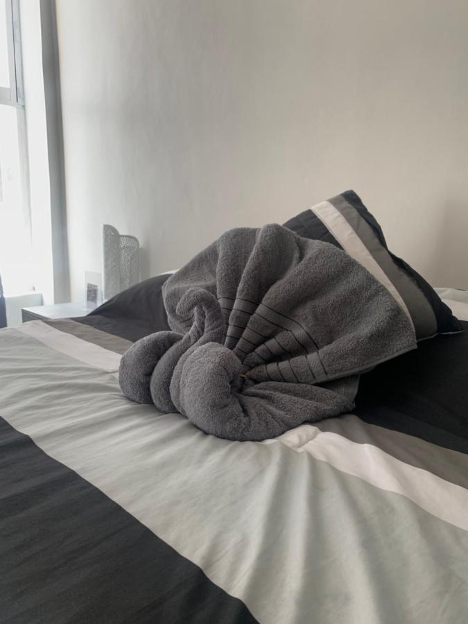 Hermoso Departamento En Coyoacan *