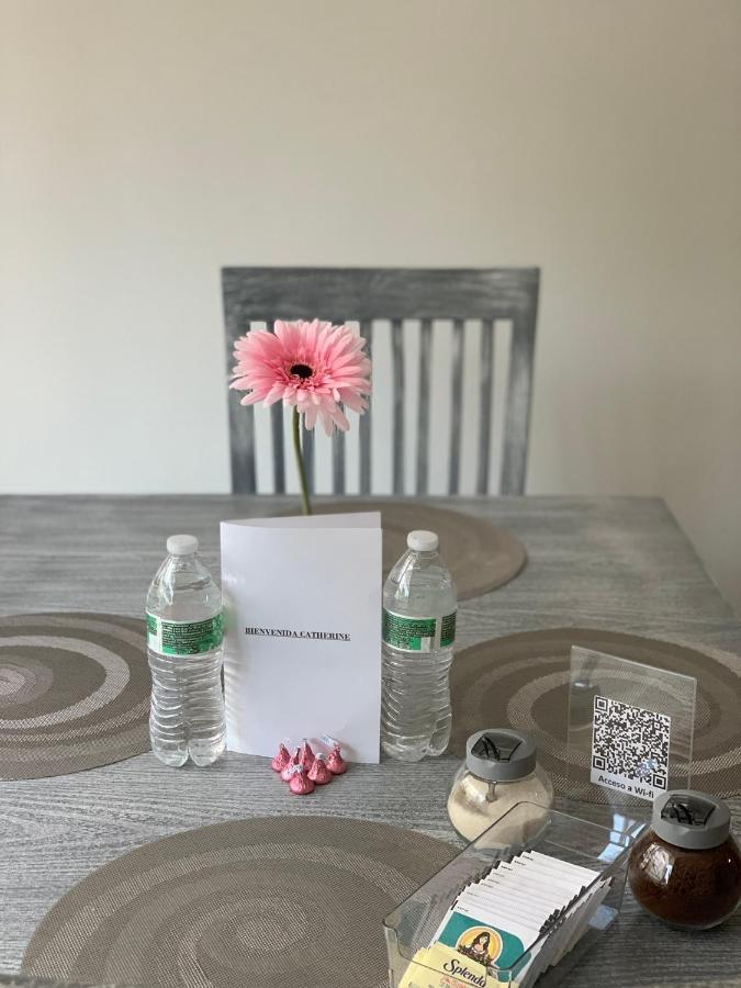 Hermoso Departamento En Coyoacan Apartment Mexico City