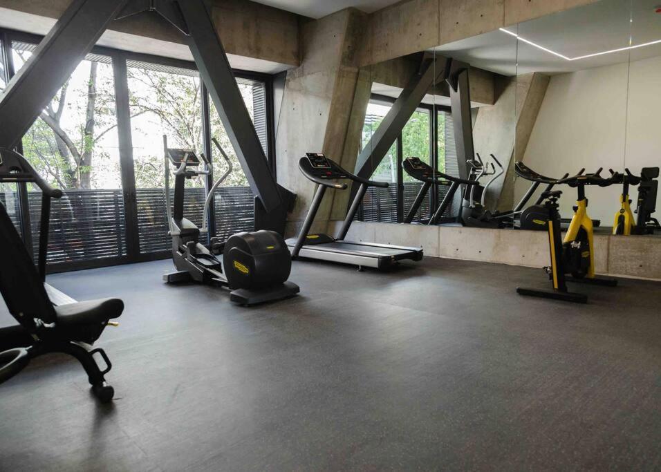 Mr. W Dream 2br Balcony Gym Forma Reforma 1103 Apartment Mexico City