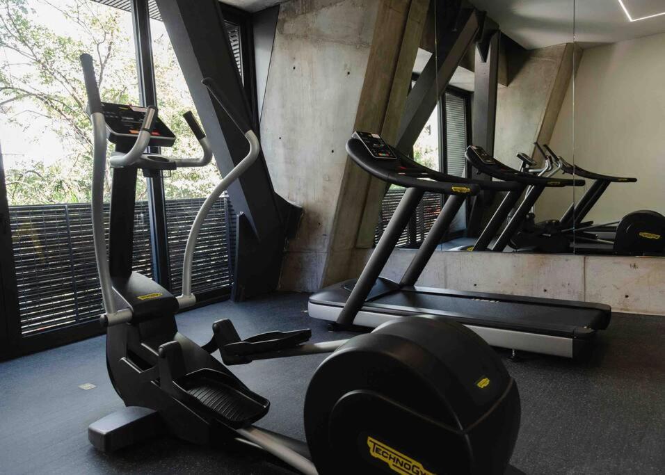Apartment Mr. W Dream 2br Balcony Gym Forma Reforma 1103 Mexico City