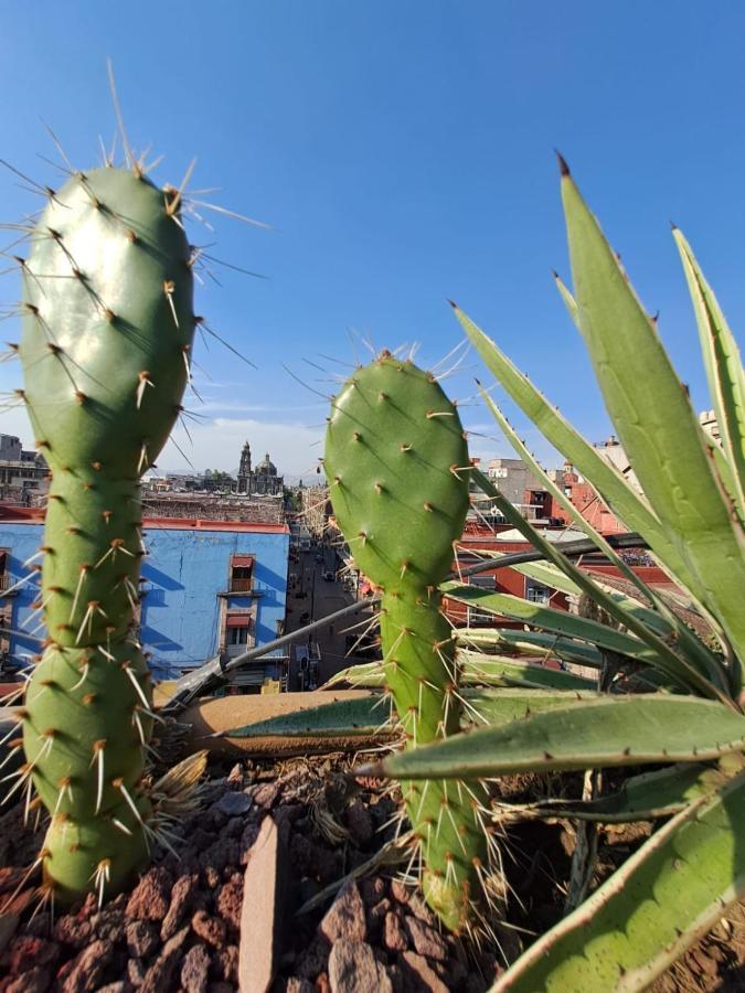 Casa Sabina Down Town Guest house