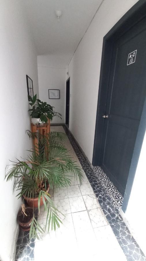 A7 Cuarto Condesa Amsterdam Homestay Mexico City