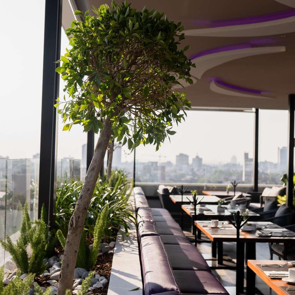 Hs Hotsson Cdmx Condesa Sur Hotel 3*