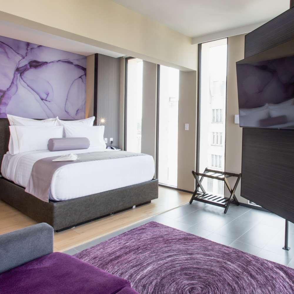 Hs Hotsson Cdmx Condesa Sur Hotel Mexico City