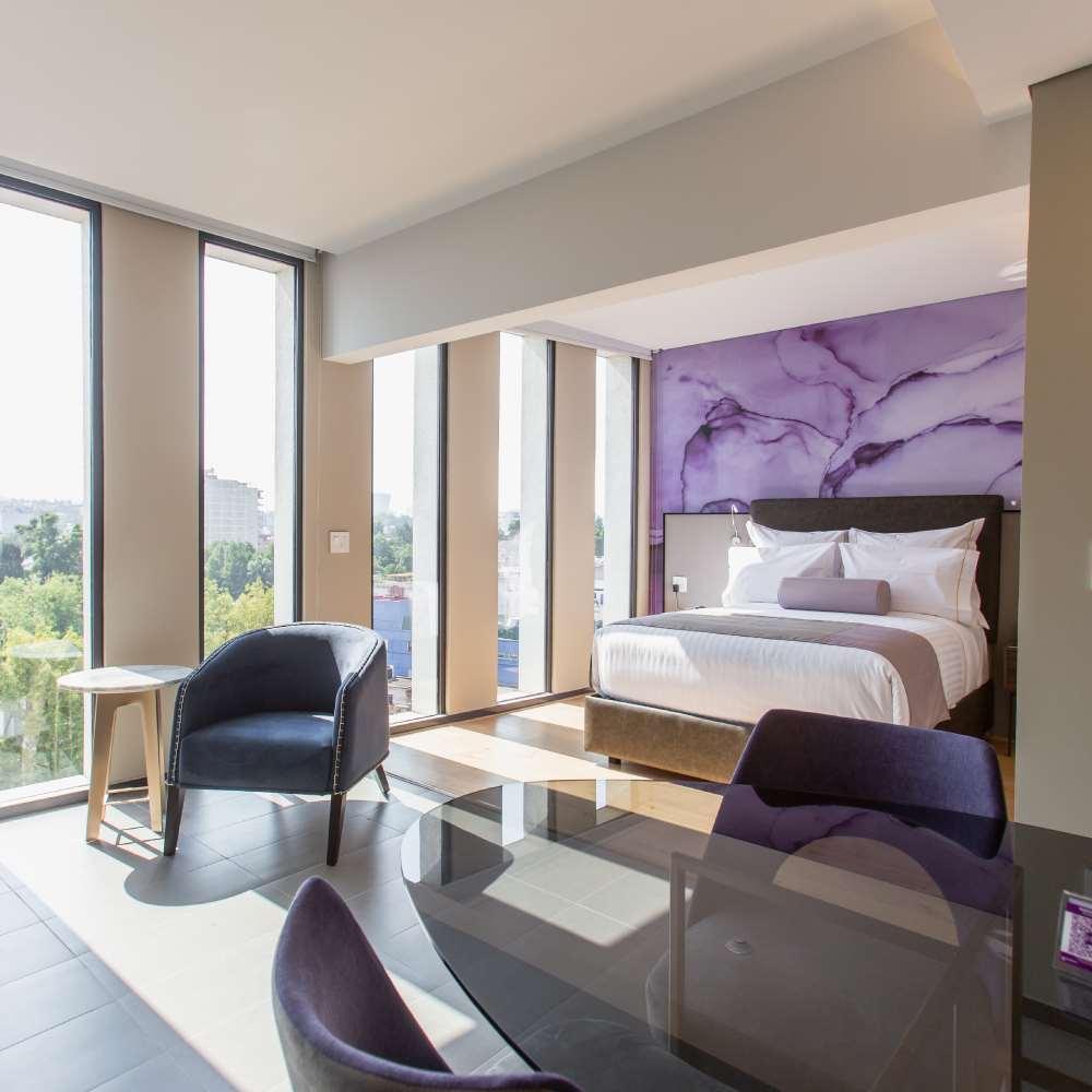 Hotel Hs Hotsson Cdmx Condesa Sur Mexico City