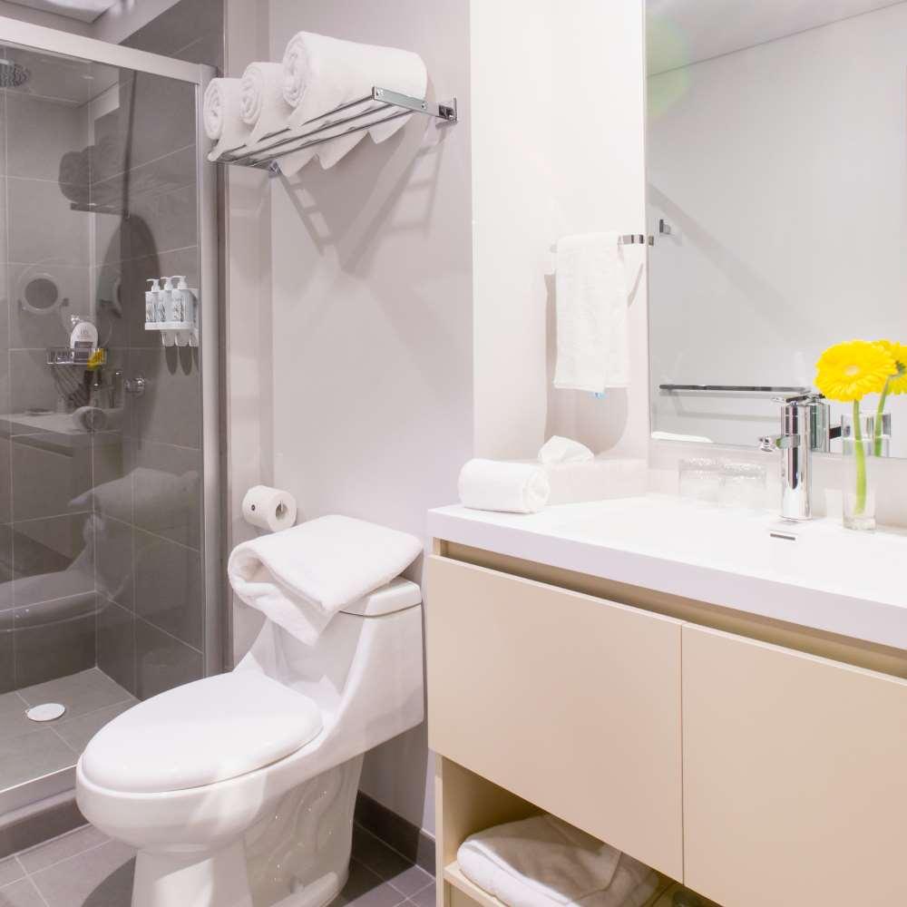 Hs Hotsson Cdmx Condesa Sur 3*