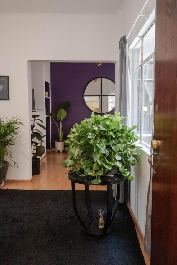 Apartment Panal Studio. Interior Design Spot In Roma Norte Mexico City
