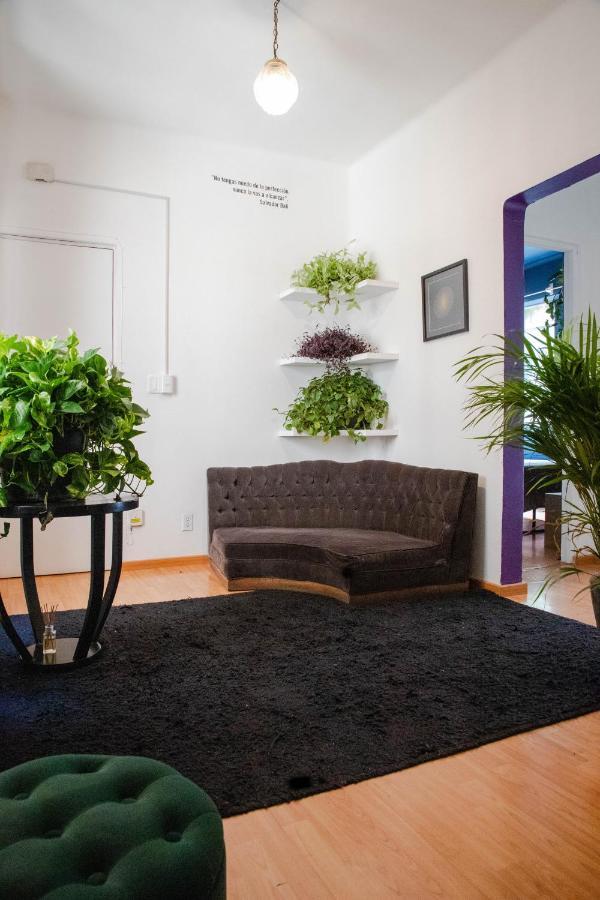 Panal Studio. Interior Design Spot In Roma Norte * Mexico City