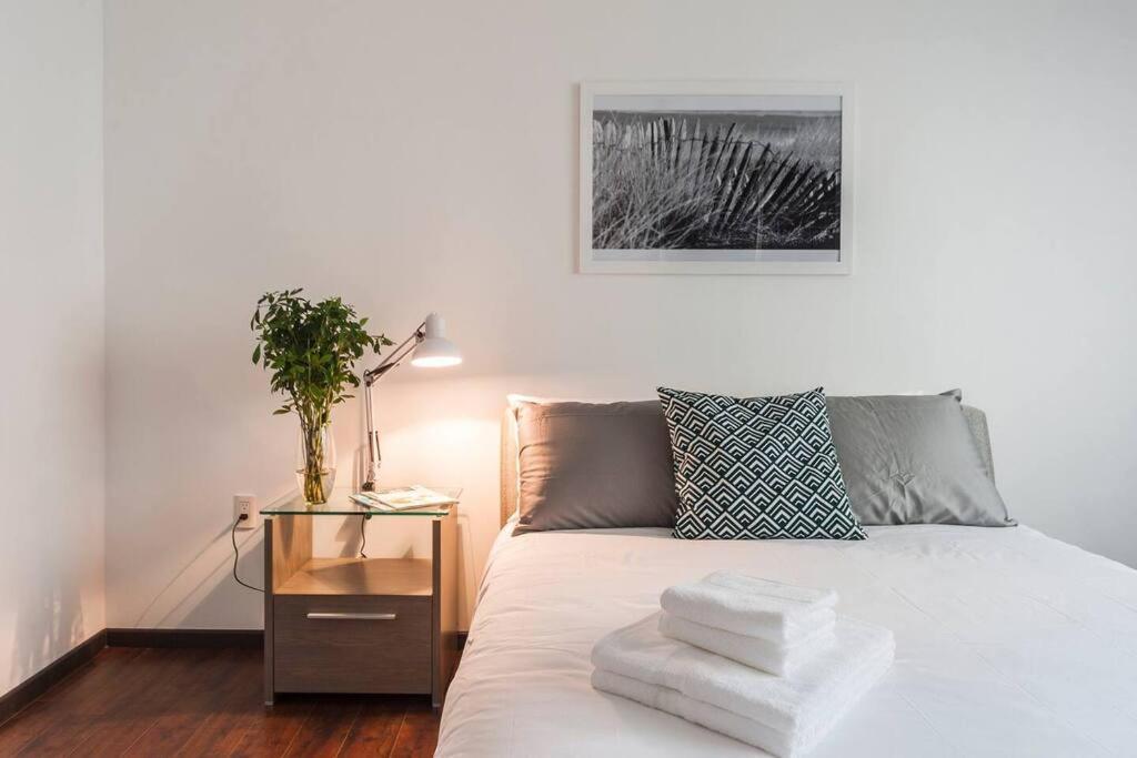 Condesa Campeche 8 Urban Elegance 2br 1ba With Large Living Areas Apartment Mexico City