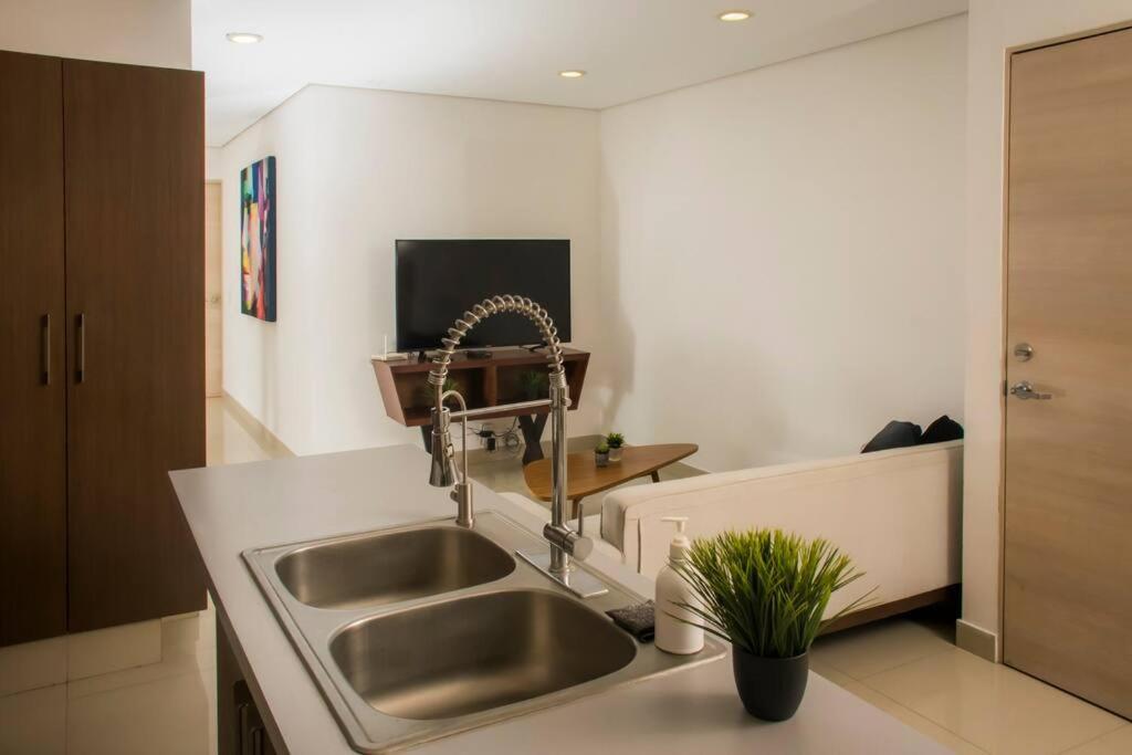 Spacious, Modern Luxury In Roma Norte