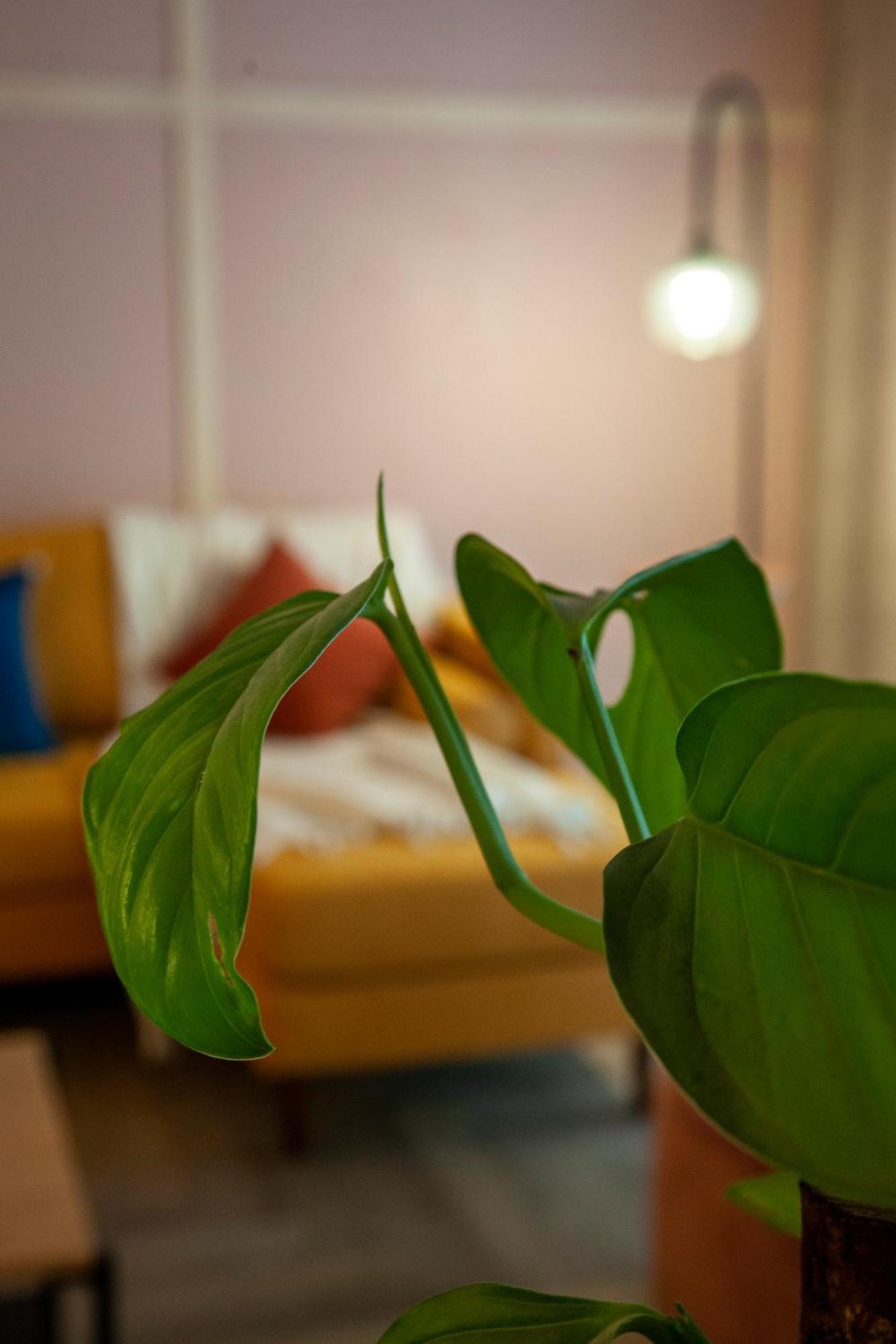 Apartment Sinaloa By Mr W