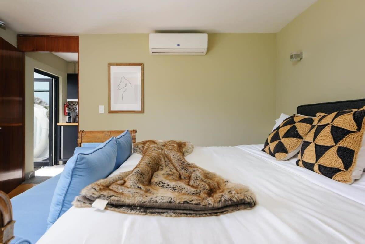 Amazing 4br House In Condesa Holiday home *