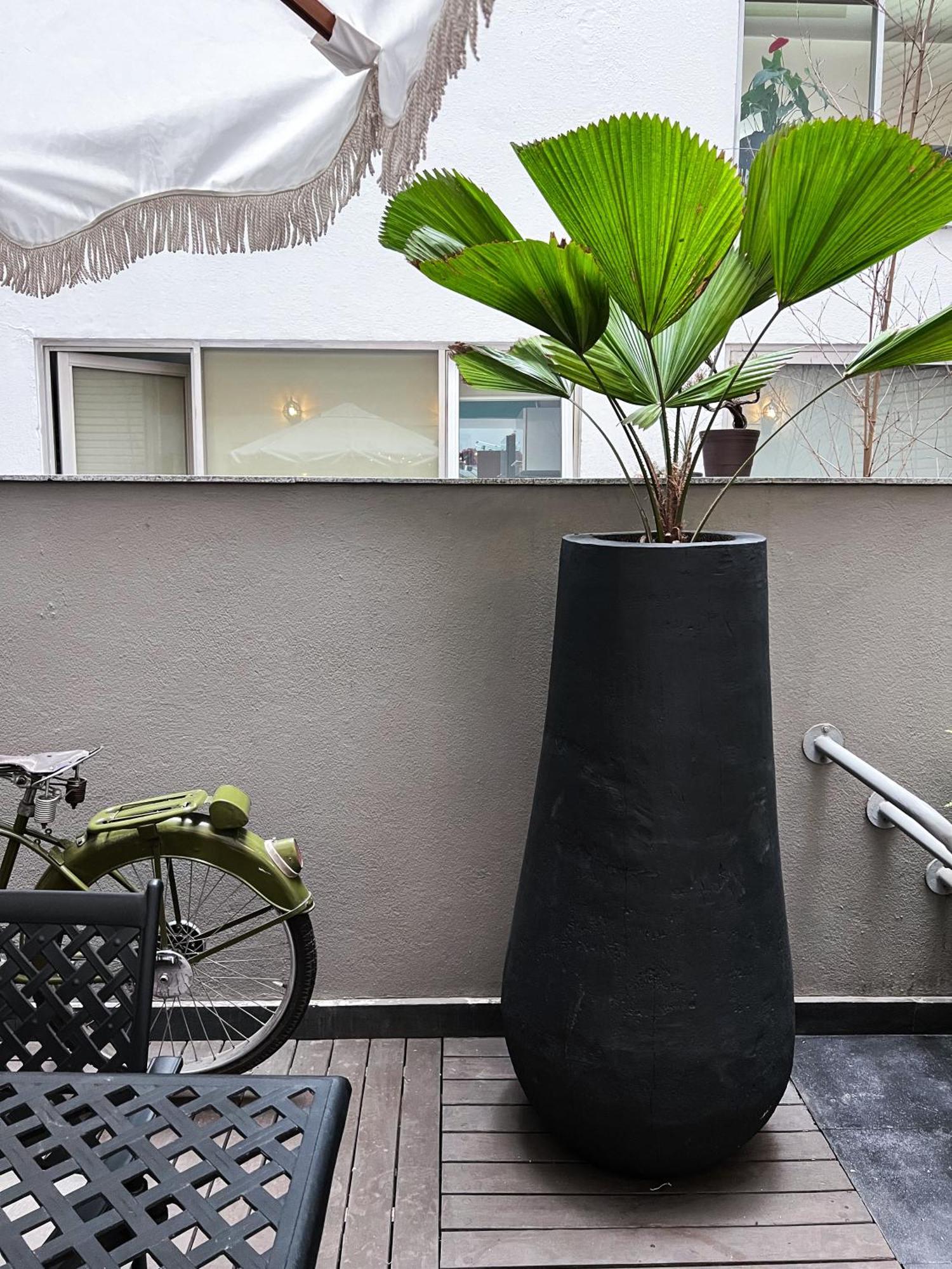 Park Condesa Apartment