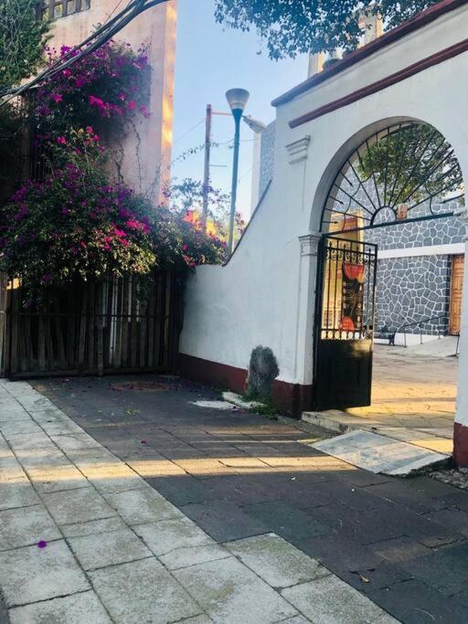 Tizapan 2 Beautiful With Patio 1be/1ba Apartment Mexico City