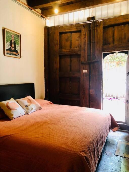 Tizapan 2 Beautiful With Patio 1be/1ba Apartment Mexico City