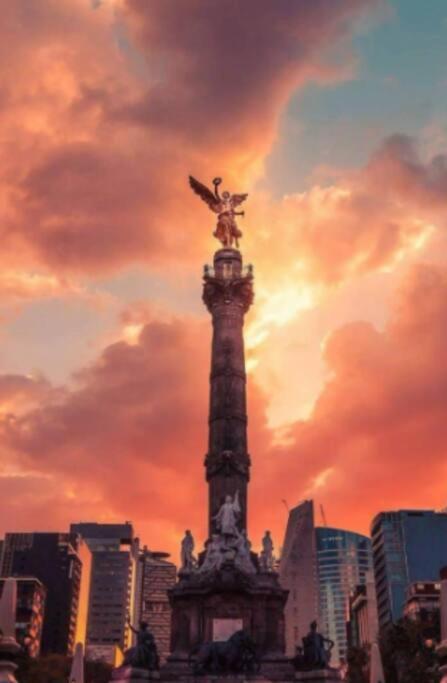 Apartment Tizapan 2 Beautiful With Patio 1be/1ba Mexico City