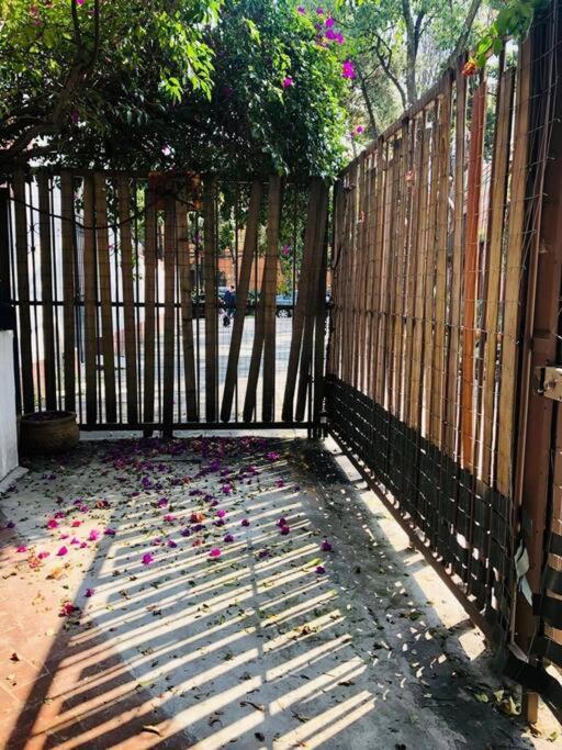 Tizapan 2 Beautiful With Patio 1be/1ba Mexico City